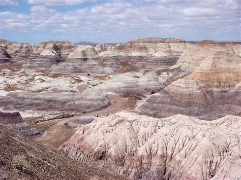 Petrified Forest National Park Petrified Forest National Park