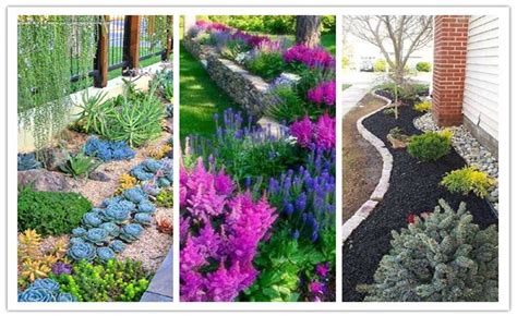 30 Gorgeous Low Maintenance Front Yard Ideas Gardenholic