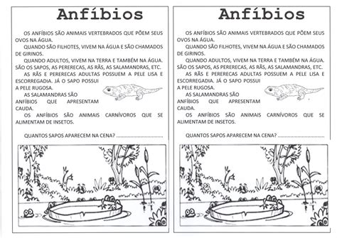 Anfíbios Com 9 Letras