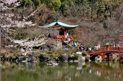 Daigoji Temple And A Sakura Festival