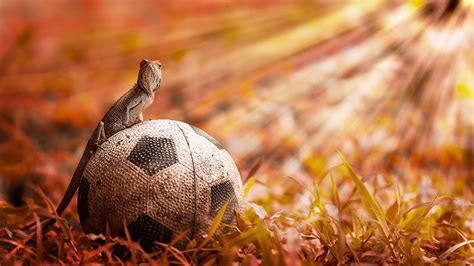 Fußball wallpaper download auf freeware.de. Die 85+ Besten Fußball Wallpapers