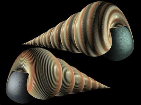 The Mollusca Spiral Seashell Design 3ds 3d Studio Max