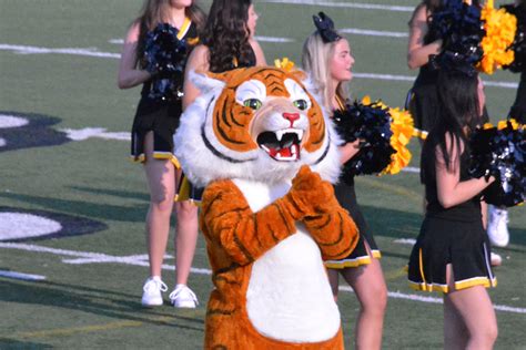 Meet The Tigers 2021 The Snyder News
