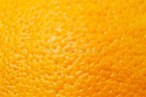 Orange Fruit Skin Texture Closeup Stock Photo Image Of Tropical