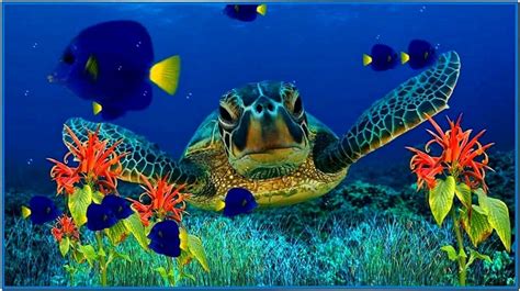 Coral Aquarium 3d Screensaver 10 Download Screensaversbiz