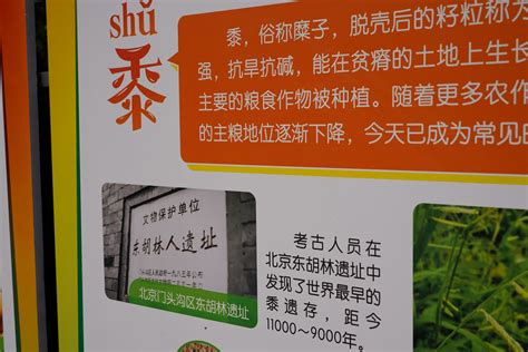 “先农坛里识五谷 一亩三分阅古今” 专题科普展览_先农坛北京古代建筑博物馆，先农坛，耤田，太岁