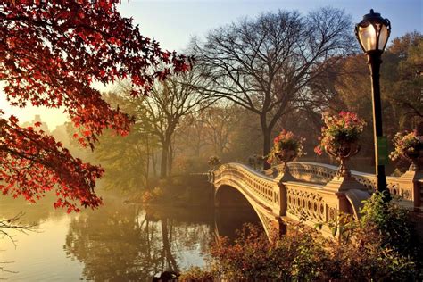 Autumn Fall Park Bridge Wallpaper 3510x2340 424259