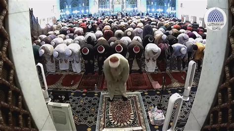 Selepas salam solat waktu kedua, sunat iqamah dan kemudian dirikan solat waktu yang pertama. Solat Sunat Tarawih 16-05-2019 - YouTube