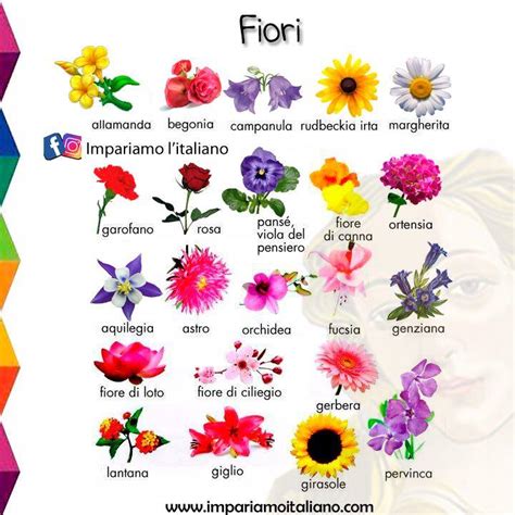 Ispirati a questo elenco di nomi dei fiori per trovare il nome del tuo bebè. Fiori Nomi