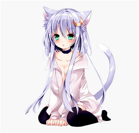 Hình ảnh Anime Mèo đẹp Cute Dễ Thương Và đáng Yêu