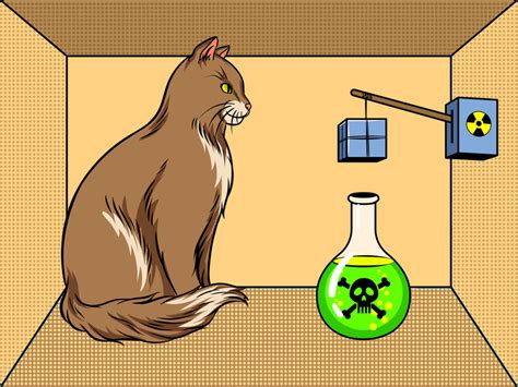 Kot Schrödingera Fizycy Odkryli Jak Go Uratować Geekweek W Interiapl