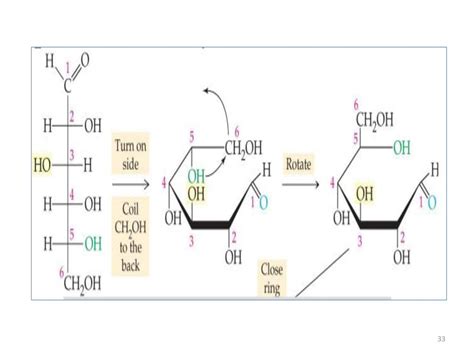 Carbohydrates Iug Fall 2017 Dr Tarek Zaida Ppt Download