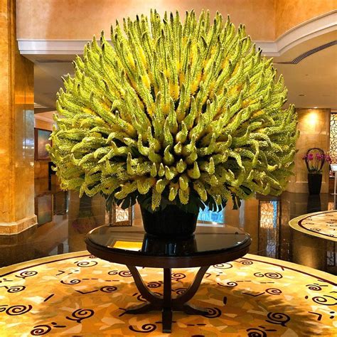 garden hotel kuala lumpur - Midnight Profile Image Database