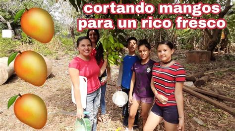 Temporada De Mangos En El Salvadornos Fuimos A Limpiar Los Pescados