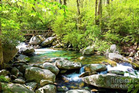 A Beautiful Stream In Great Smoky Mountains National Park Photograph By