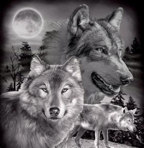Maybe you would like to learn more about one of these? Black & White Wolves | Wolves and Native American Indians ...