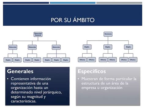 Tipos De Organigramas Por Su Ambito Nepora My XXX Hot Girl