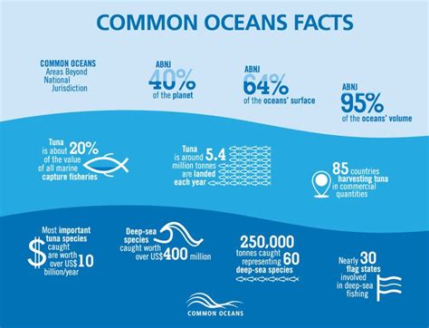 Common Oceans Facts Infographic Ocean Infographics Pinterest