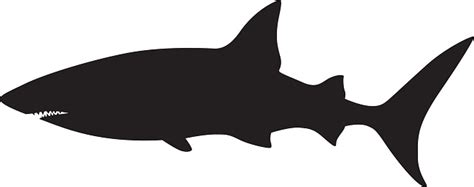 Free Free 146 Shark Swimming Svg SVG PNG EPS DXF File