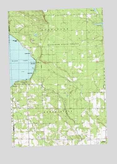 Black Lake Bluffs Mi Topographic Map Topoquest