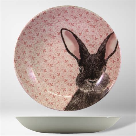 Chintz Bunny In Pink Pasta Bowl Royal Stafford