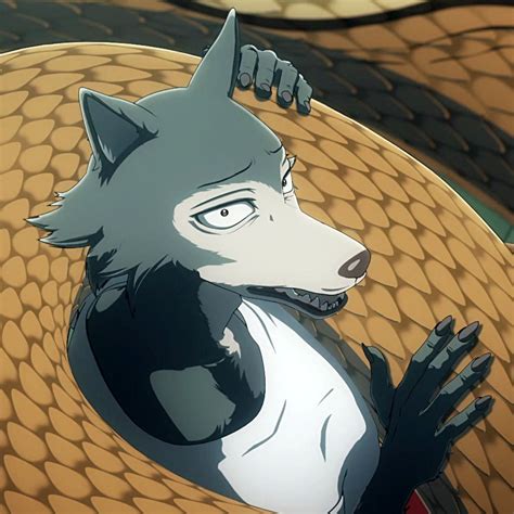 Beastars Season 2 Episode 2 Discussion & Gallery - Anime Shelter in