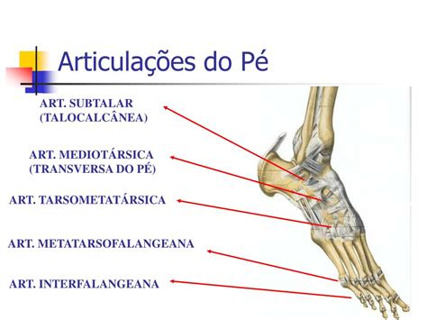 Articulação Do Pé E Tornozelo