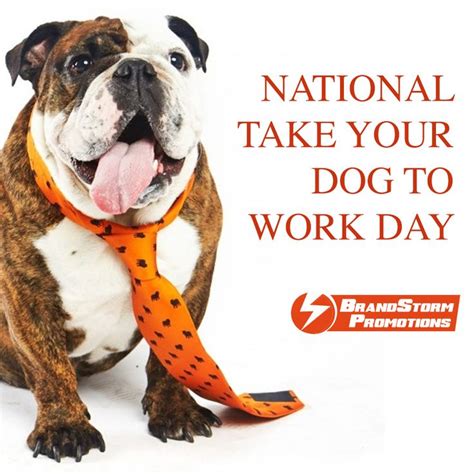 National Take Your Dog To Work Day Brandstorm Promotions Dogs Going