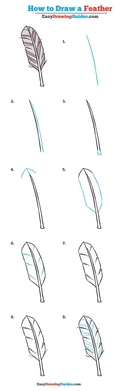 Images Of Feather Drawing Easy