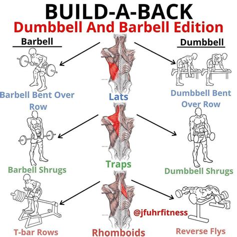 Justin Fuhrman On Instagram “a Classic Build A Back Dumbbell And