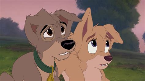 Angel And Scamp Lady And The Tramp Ii Photo 36546746 Fanpop