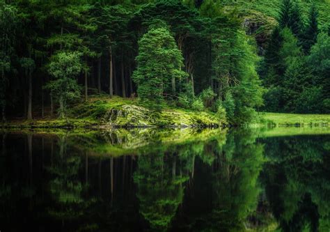 Fondos De Pantalla Árboles Lago Naturaleza Reflexión Verde Río