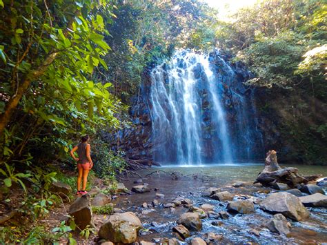 21 Best Waterfalls Near Cairns Queensland Beeloved City