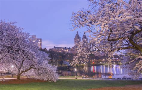 Spring Central Park New York City Pics