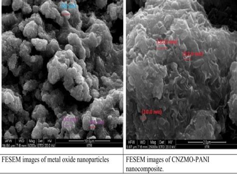 Fesem Pictures Of Metal Oxide Nanoparticles Left And Cnzmo Pani