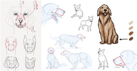 Descubrir 74 Aprende A Dibujar Un Perro Mejor Vn