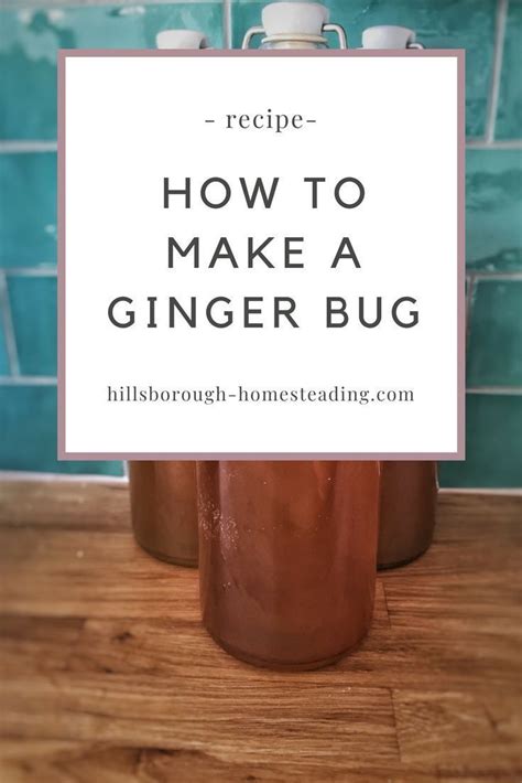 How To Make A Ginger Bug A Delicious Naturally Fermented Soda Starter