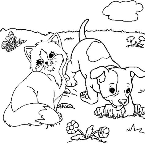 Chat à Colorier Et Imprimer Cool Stock Chaton Et Chiot Coloriage Chaton
