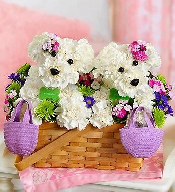 Before you buy a bouquet﻿, check out these flower meanings for popular blooms like roses, tulips, lilies, and peonies, to make sure you send the right 50 beautiful flower meanings that will surprise you. Flower Arrangements Shaped Like Dogs New Furever Friends ...