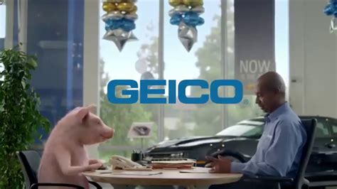 Funny Commercials Maxwell The Pig Geico Insurance Commercial Collection