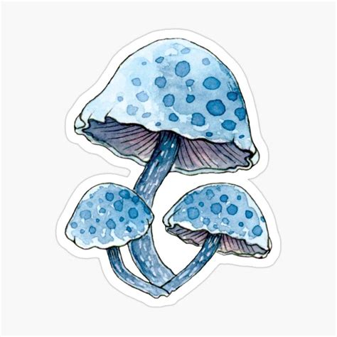 Mushroom Paint Mushroom Drawing Handmade Journals Diy Mushroom