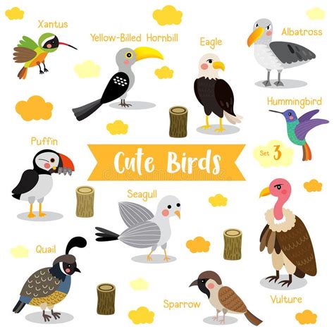 10 Nombres De Aves Que Vuelan Actualizado Abril 2024