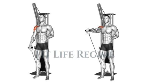 One Arm Cable Front Raise How To Do And Tips