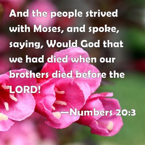Numbers 203 And The People Strived With Moses And Spoke Saying