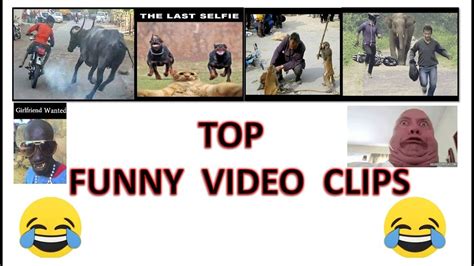 Top Funny Video Clips Funny Comedy Youtube