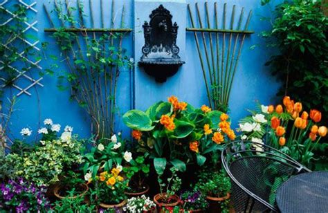 An urban gardening blog with tips on vertical gardening, container gardening, experimenting with vertical gardening products, and cheap garden diy. Blue wall, trellis | Small city garden, City garden, Deck ...
