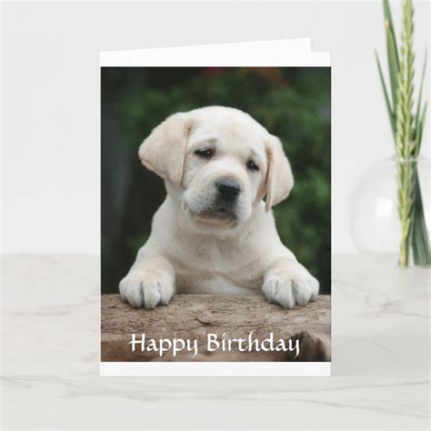 Happy Birthday Labrador Retriever Puppy Card Zazzle