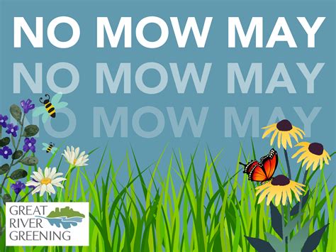 No Mow May Whats The Buzz — Great River Greening