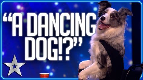 DANCING DOG twists and turns and WOWS the Judges! | Unforgettable