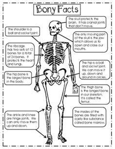 Just as negative mood states can make getting a good night's sleep a virtual impossibility. Skeleton Unit for Upper Elementary in 2020 | Human body activities, Skeletal system activities ...